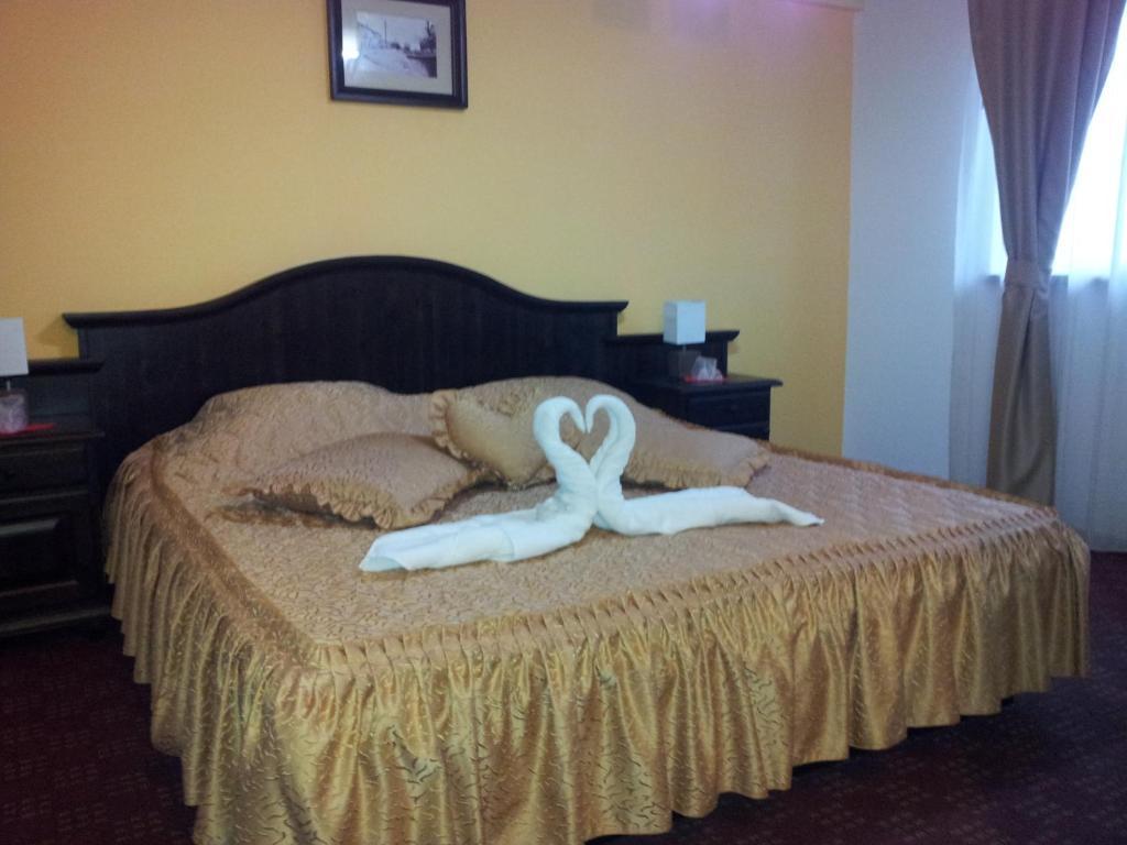 Pension Casa Sibiana Сулина Экстерьер фото