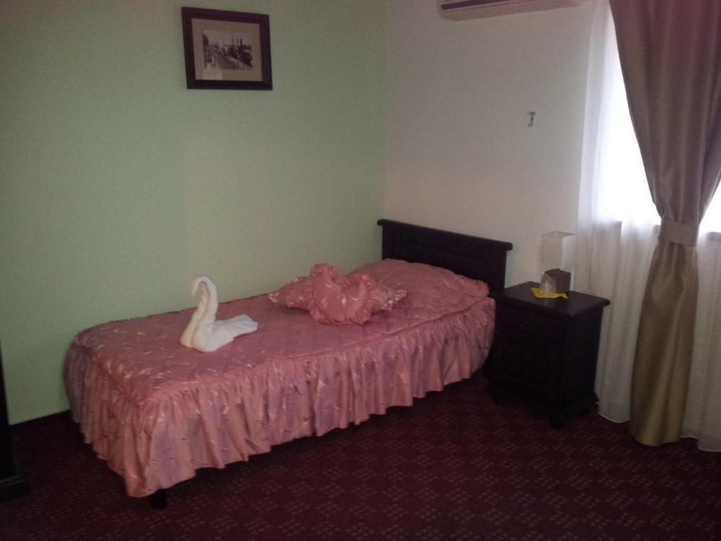Pension Casa Sibiana Сулина Экстерьер фото