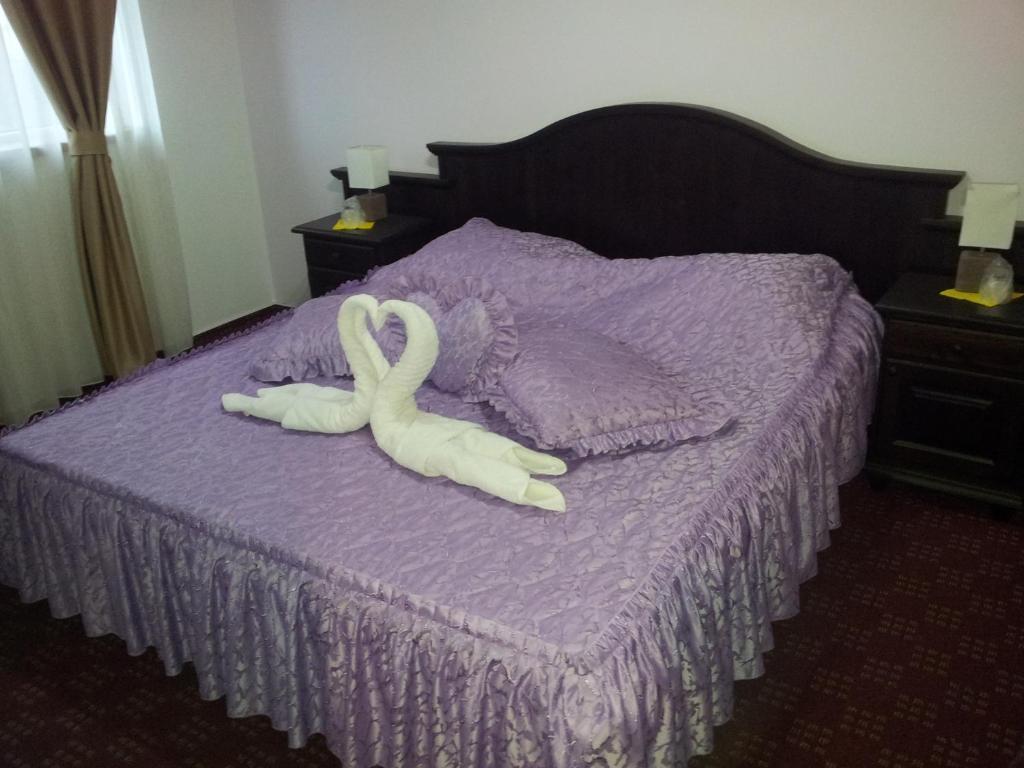 Pension Casa Sibiana Сулина Экстерьер фото